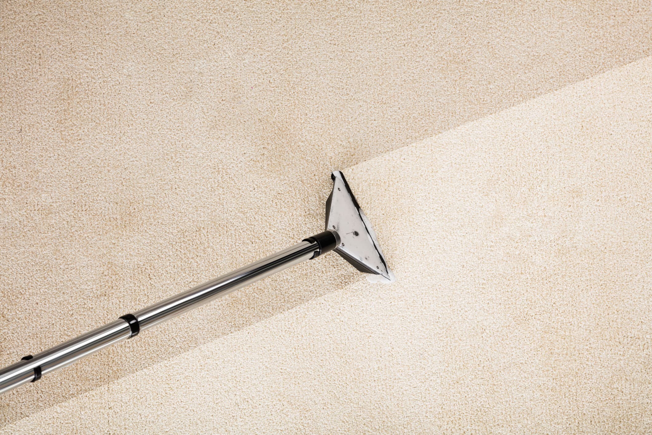 How Professional Carpet Cleaning Benefits Your Health in Alexandria