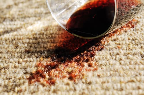 Why Turn to Professional Carpet Cleaning Services