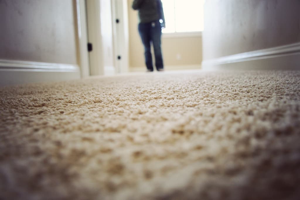 Why Use a Professional Carpet Cleaning Service?