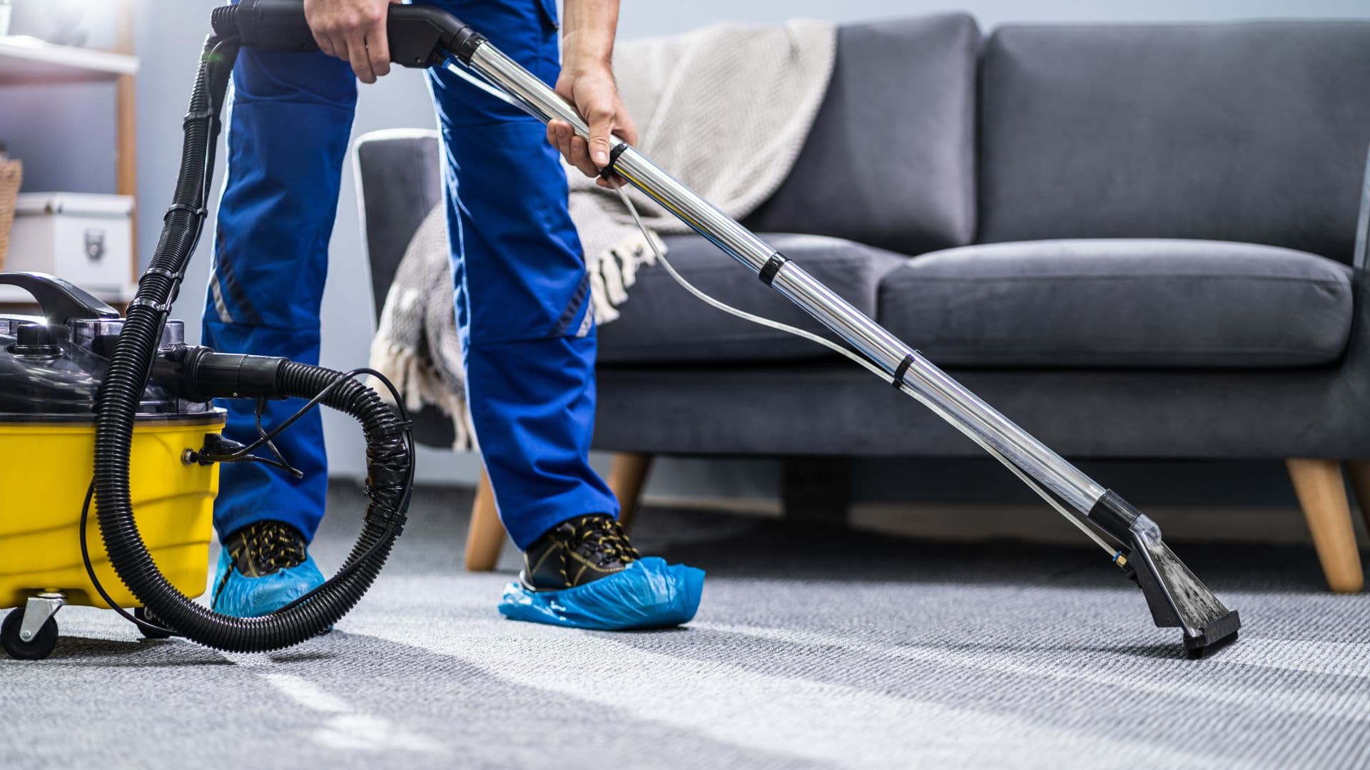How Carpet Cleaning Helps Prevent Seasonal Allergies