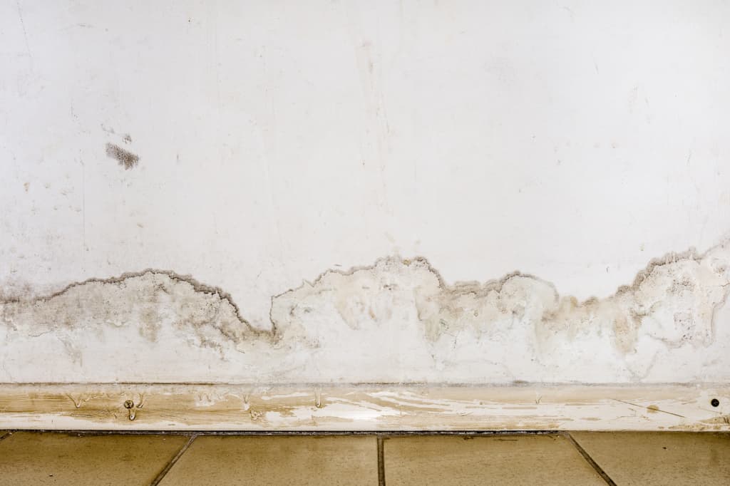 9 Signs That You Need Water Damage Restoration