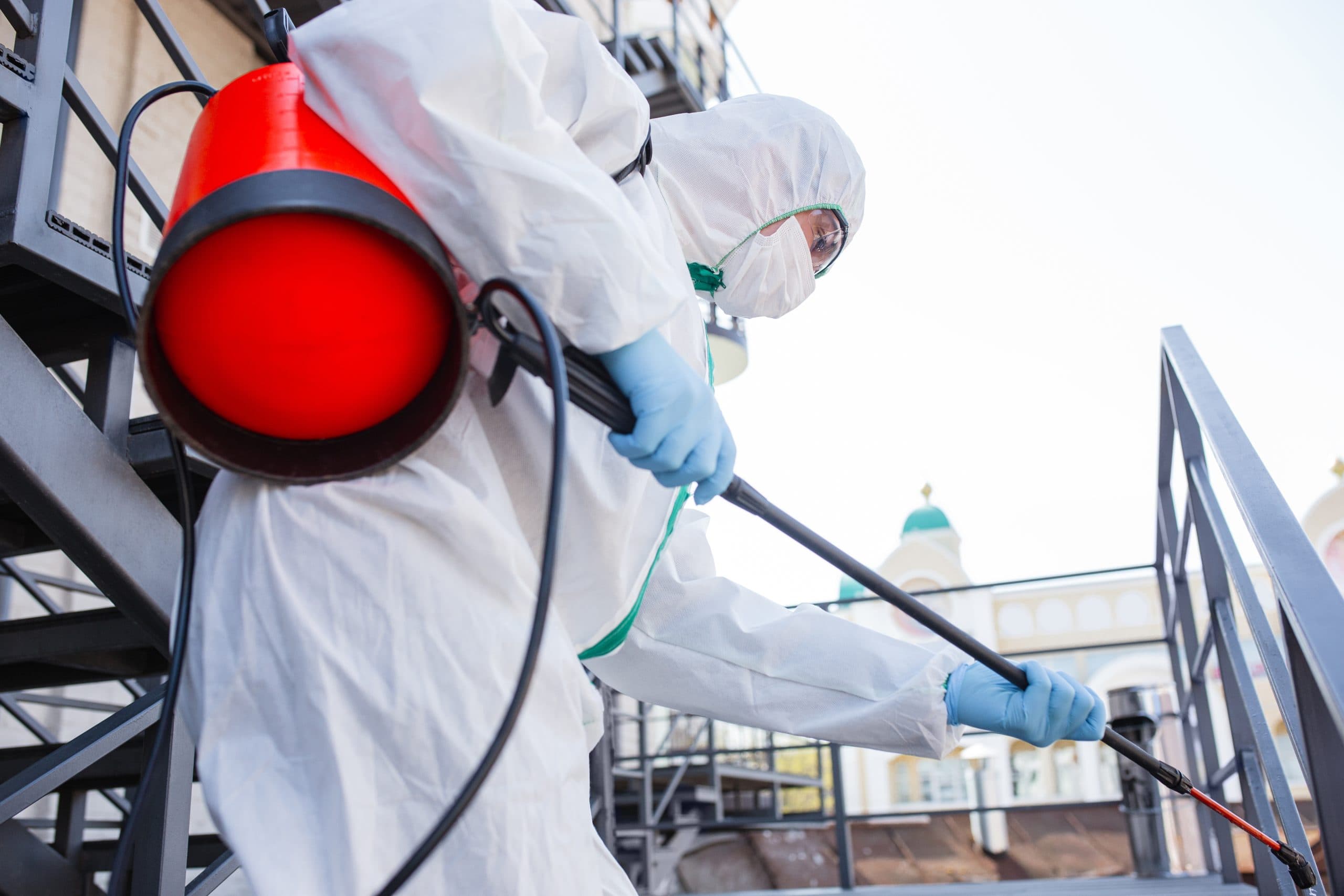 How to Effectively Disinfect Your Workplace
