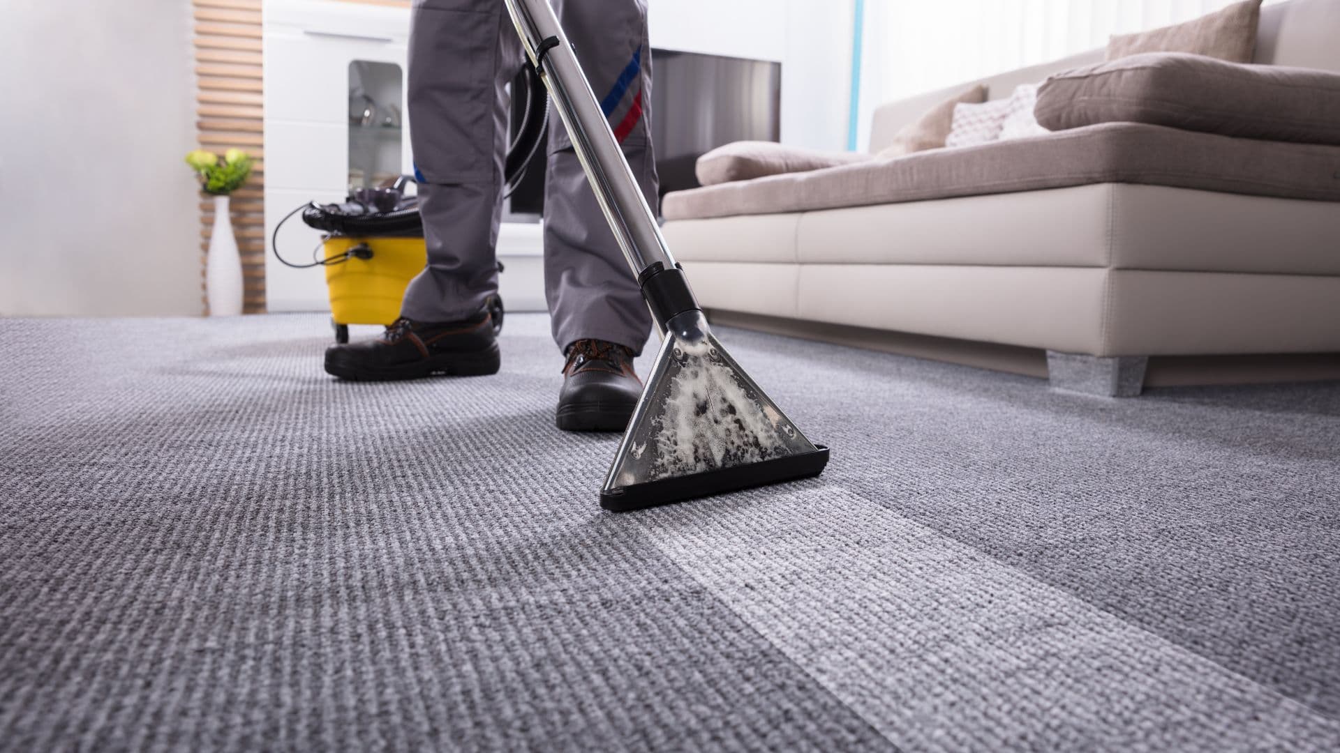 Professional Carpet Cleaning vs. Renting Equipment