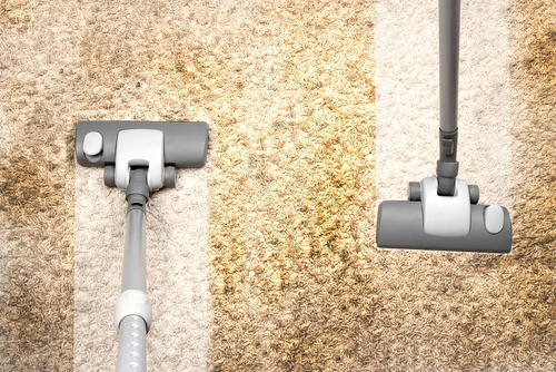 Your Best Carpet Cleaning Solution