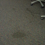 Northern VA office in need of expert carpet cleaning services